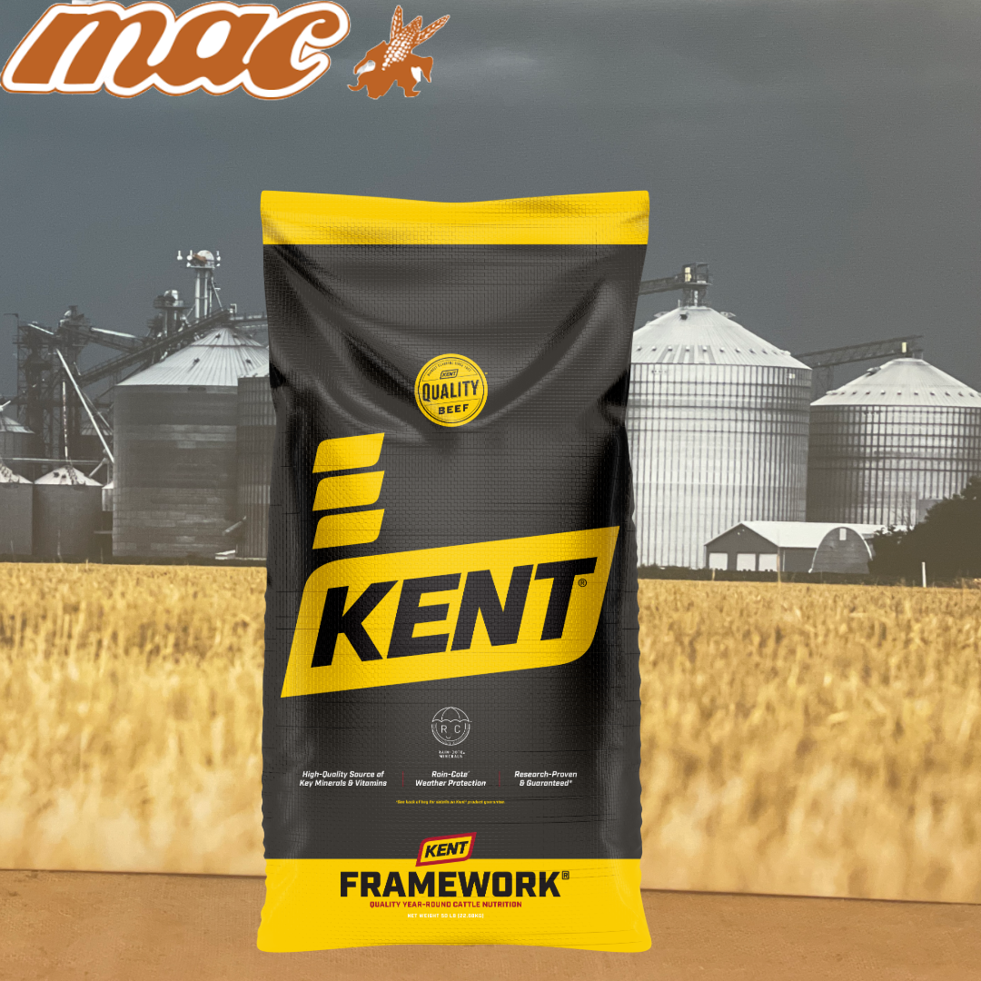 Framework 365 Mineral - ADE