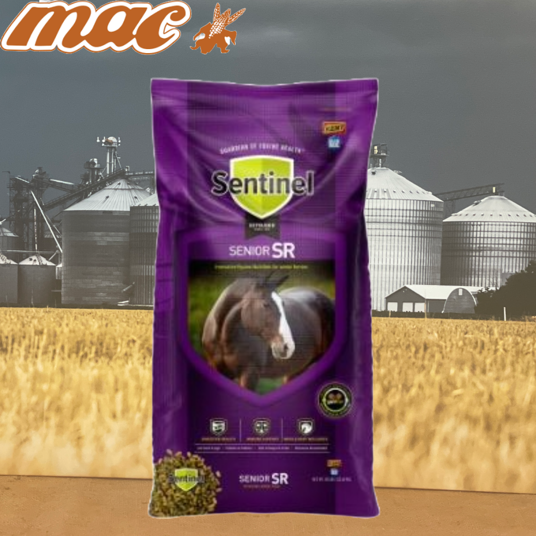 Sentinel Senior