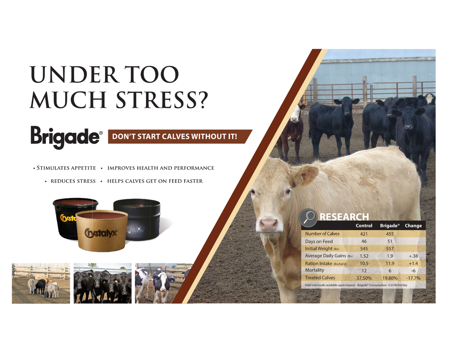 CRYSTALYX Brigade® Cattle Mineral