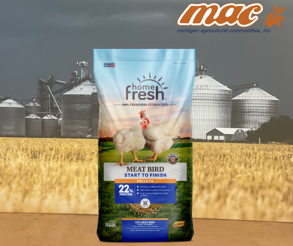Home Fresh Meat Bird 22%