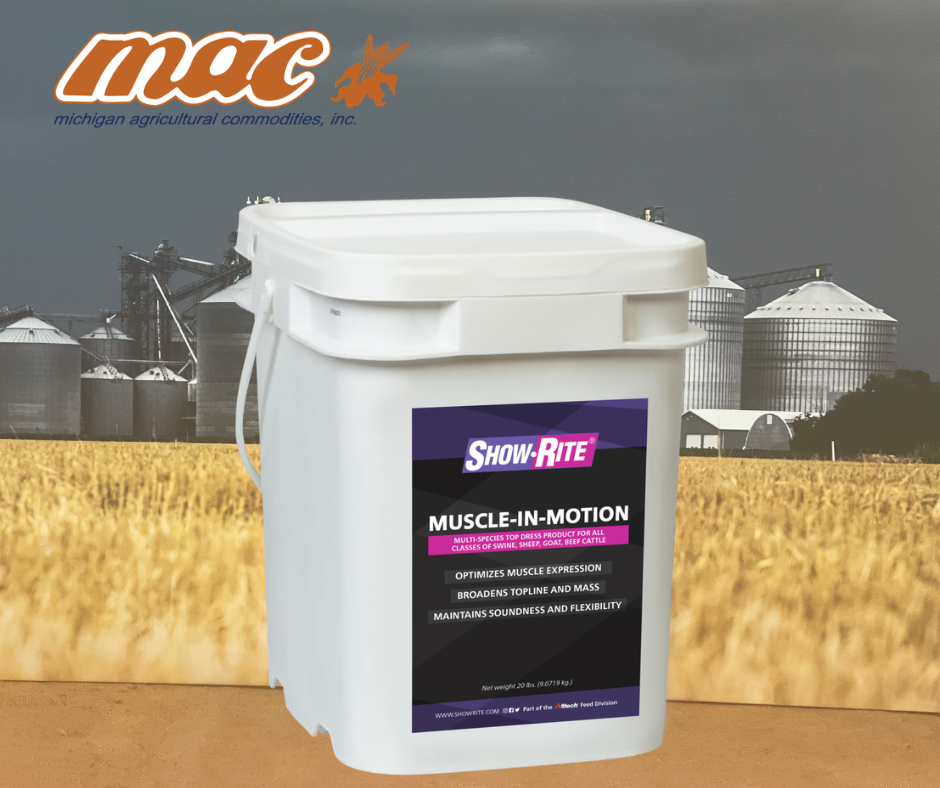 Show-Rite® Muscle-In-Motion