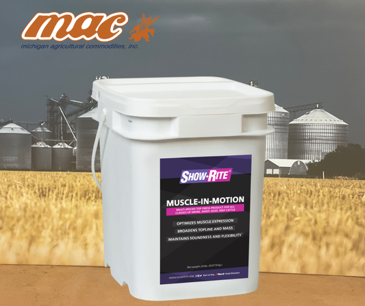 Show-Rite® Muscle-In-Motion